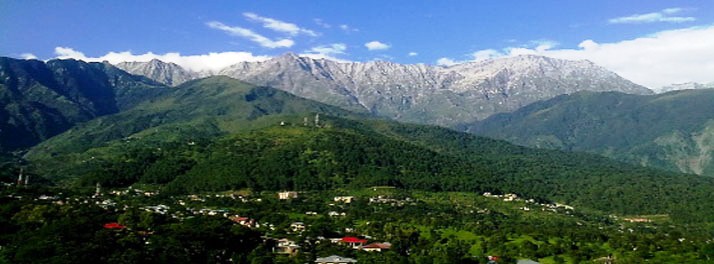 544/Sterling Holidays The Sanctuary - Dharamshala 08.jpg